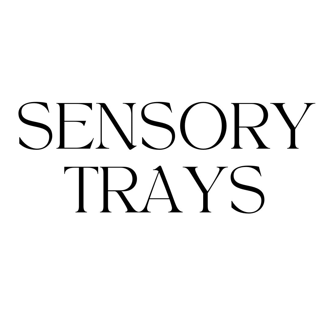 Sensory Trays