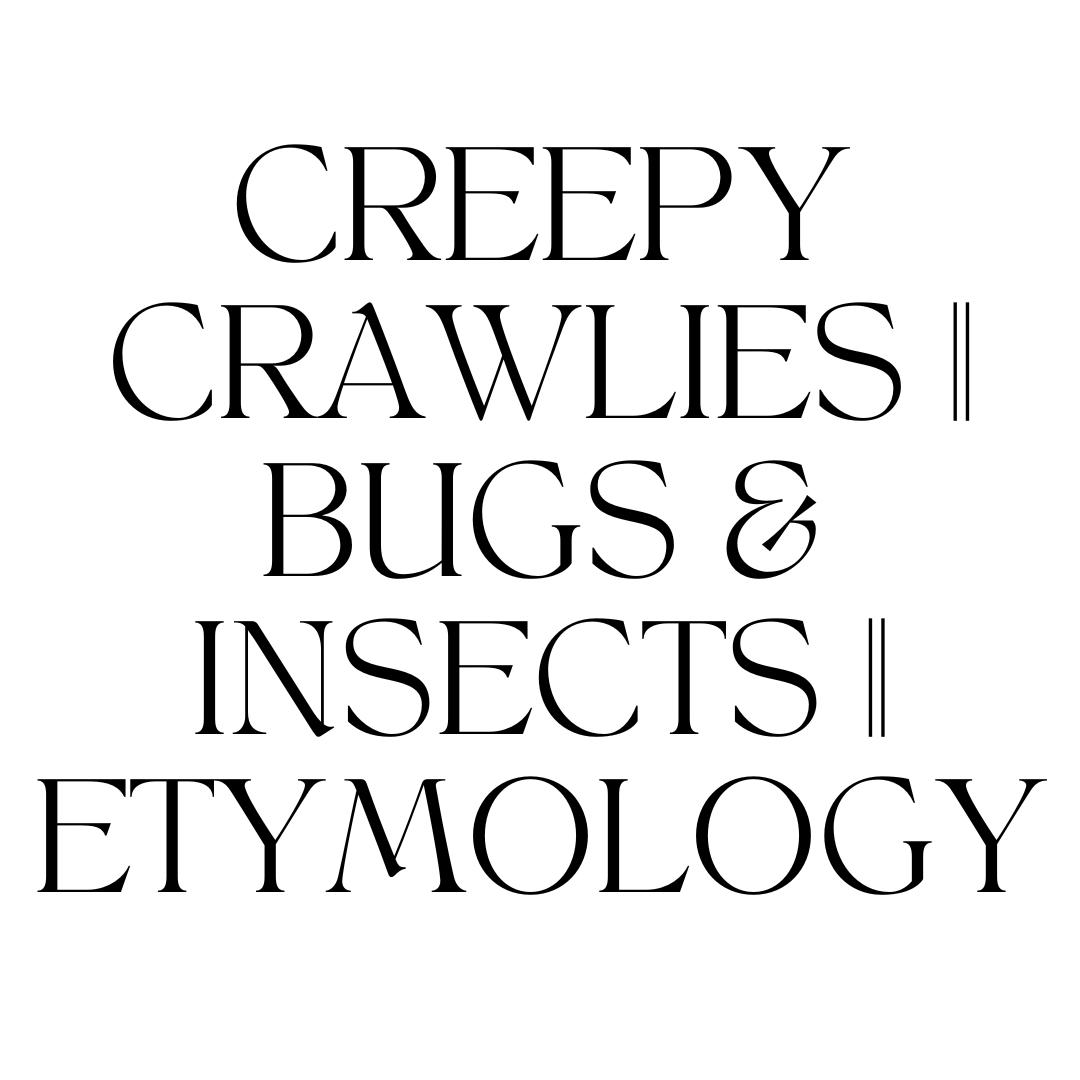 Creepy Crawlies || Bugs & Insects || Etymology