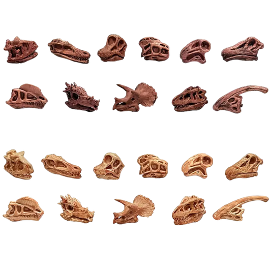 Dinosaur Skeleton Loose Parts Collection